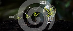 Saving and growth energy and environment.Â  Tree growth compared to year 2022 to 2023 in light bulb